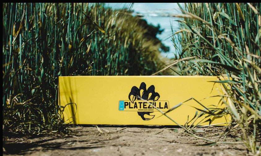 Show Car License Plate Flipper – Legal or Not?