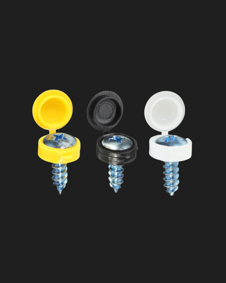 Number plate fixing Screws