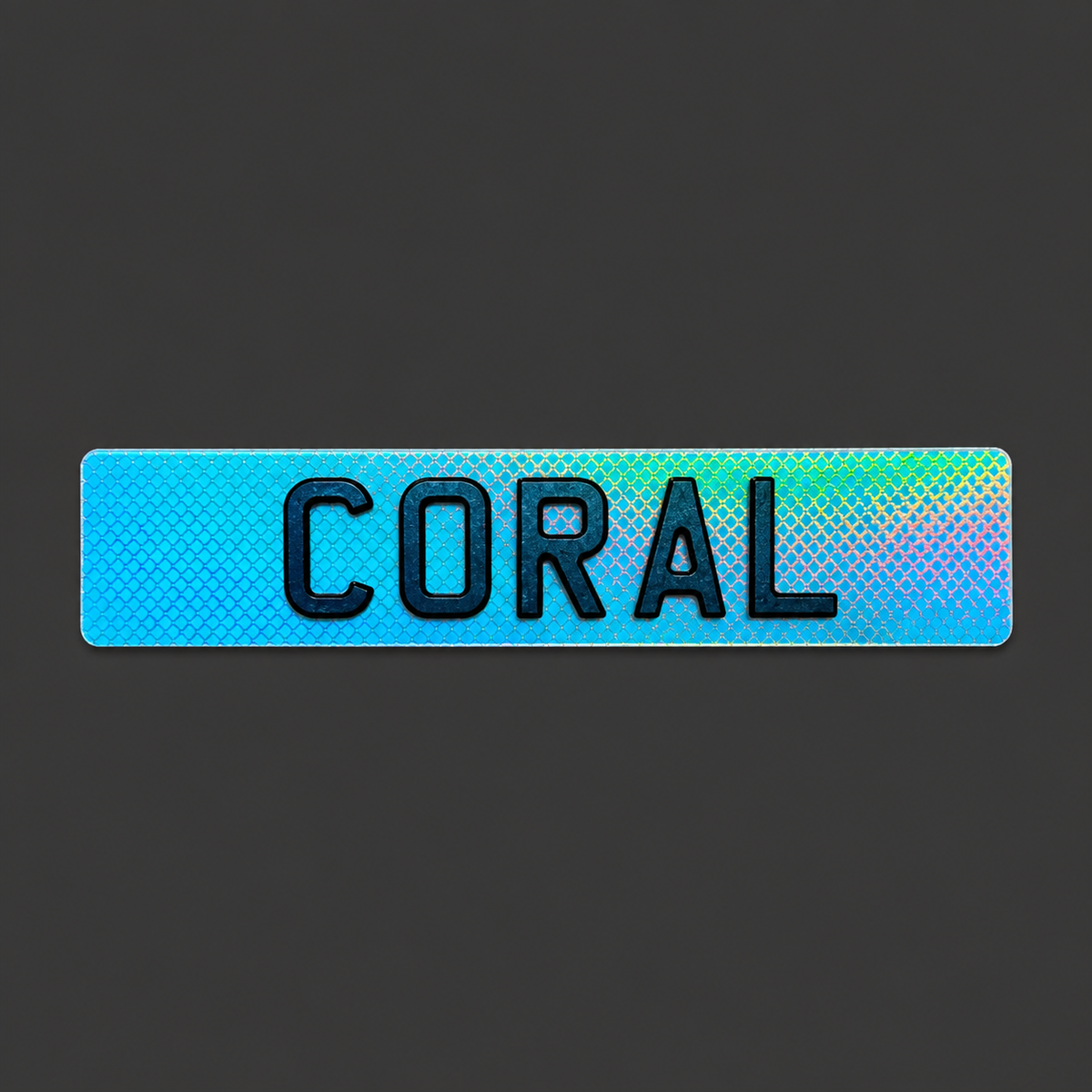 4D SHOW PLATES
