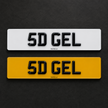 5D GEL PLATES