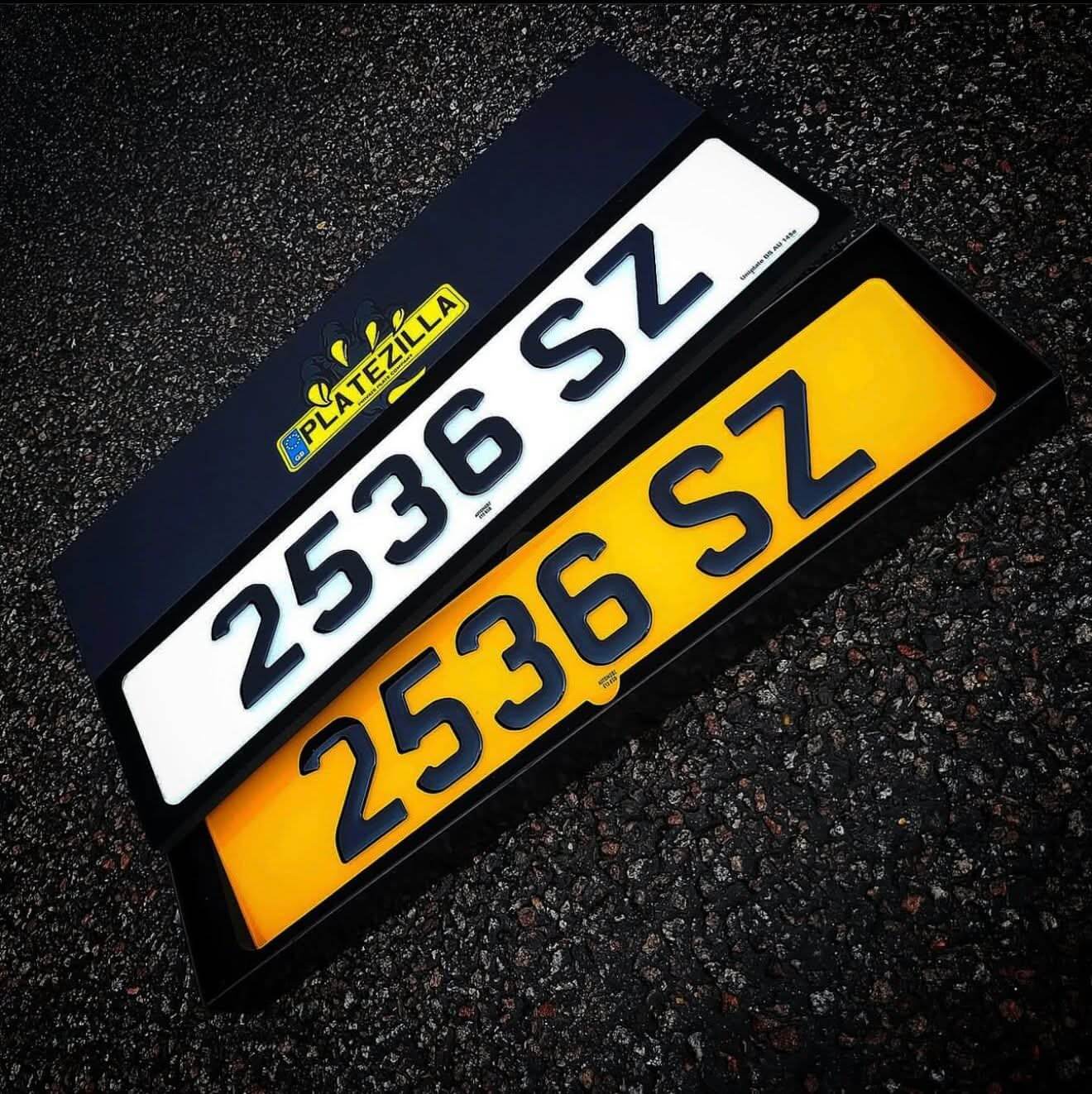 3D Gel Plate Printing