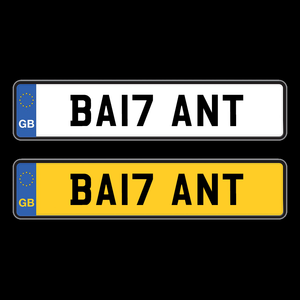 BA17 ANT SOLD-Plate Zilla